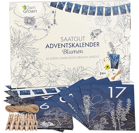 Adventskalender mit Blumensamen - Blühende Weihnachten für eine nachhaltige Umwelt